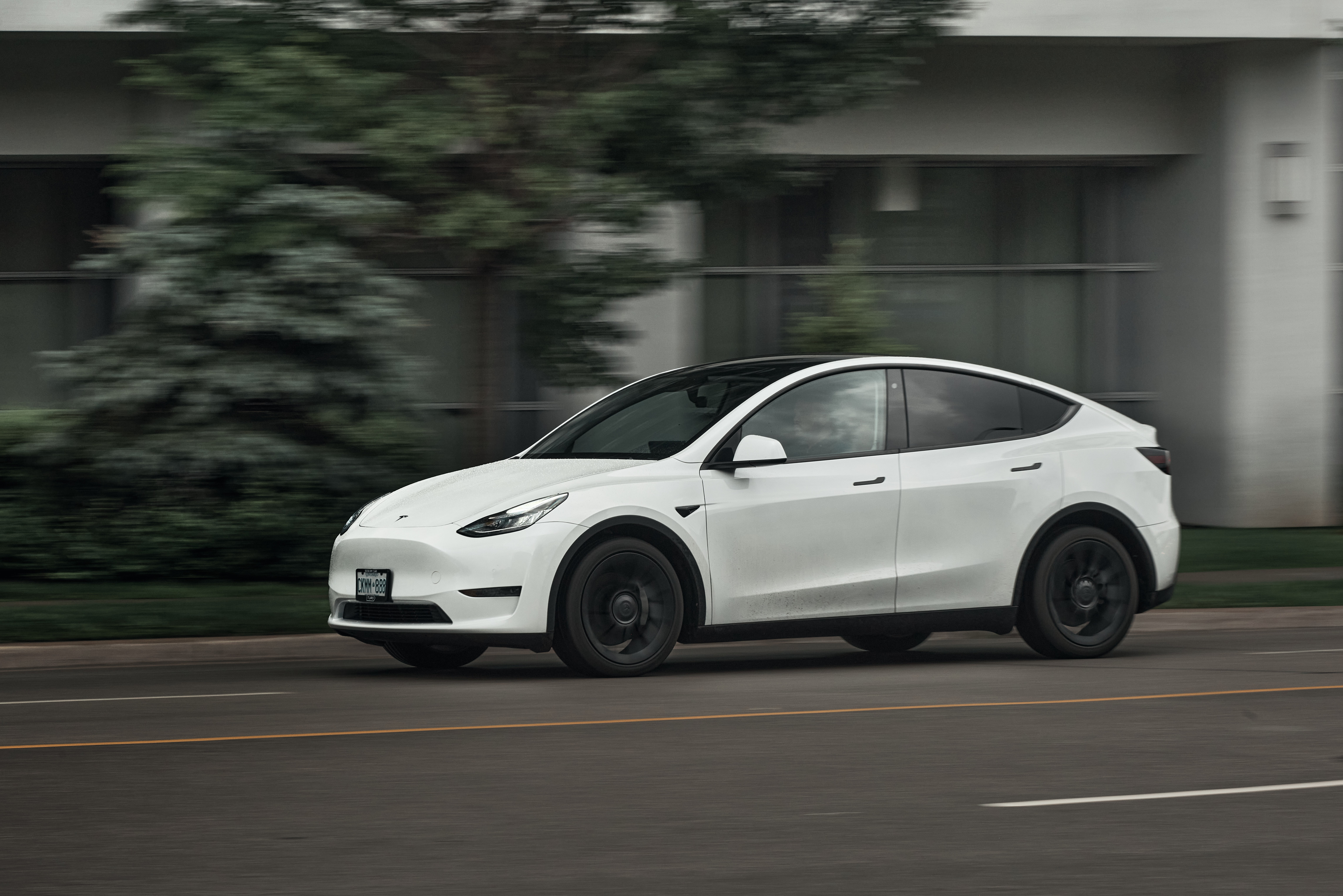 TESLA MODEL Y (2021+)